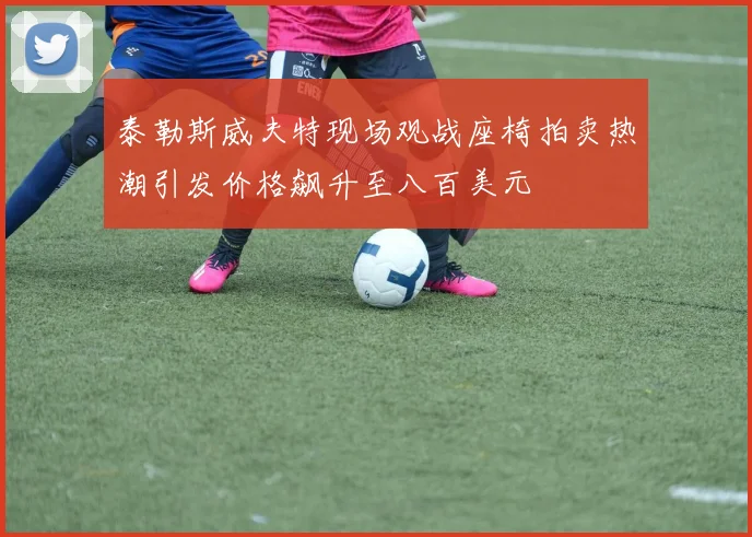 泰勒斯威夫特现场观战座椅拍卖热潮引发价格飙升至八百美元