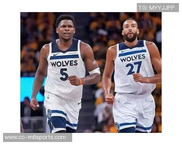 森林狼球迷热议拉拉维亚表现华子也在寻问12号球员身份